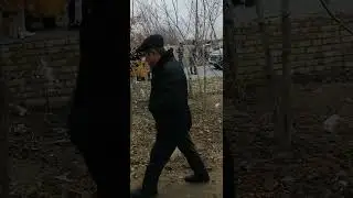 1 декабря 2024 г.