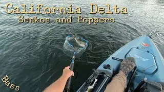 Senkos and Poppers California Delta Kayak Fishing
