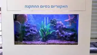 אקווריום פלזמה / אקווריום תמונה בתוך קיר - התהליך והתוצאה הסופית