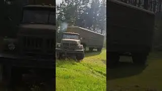 ЖУТКОЕ ЗРЕЛИЩЕ 🤯