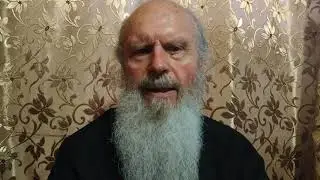 Герои нового вида