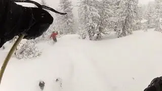 Southern California Dreaming