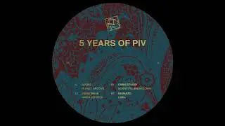 Chris Stussy - Scientific Breakdown (PIV5YRS)