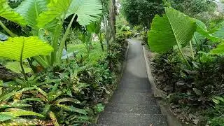 part 2 easy diving beach resort Philippines GH010217