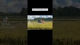 Japan Agriculture is Superb