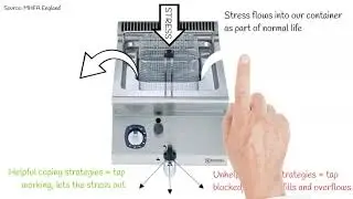 The Stress Container