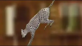 •🙂 камнем вниз🙂•_meme wild craft_ оригинал_