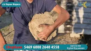 СГОРЕЛ ДОМ ШАМСИЯТ - 2 ЧАСТЬ