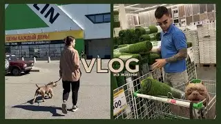 С АМЕРИКАНСКИМ БУЛЛИ В ЛЕРУА МЕРЛЕН 🐶 | СТРОЙКА ПРОДОЛЖАЕТСЯ 🛠️