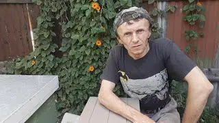 Результат приема матки уникальным способом // Пчеловодство Аргентины