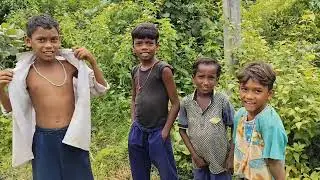 জঙ্গলে
