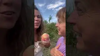 Персиковый рай 🍑🍑🍑в гостях у крестной #сад #садиогород #жизньзагородом #семейнаяферма