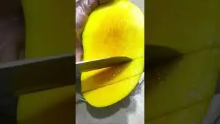 how to cut mango cubes perfectly #mangofruit #mango #mangorecipe #foodshorts #fruitcutting #shorts