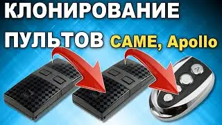 Копирование пульта CAME, Apollo, дубликаты