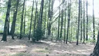 DIY Camera Slider Test