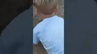 Богданчик и Рокси песчаные короли 🤗🦮