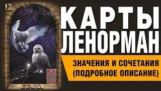 Lenormand cards. Owl/Bird card (12). Card meanings and combinations.