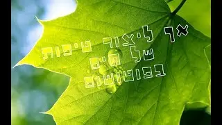 מדריך פוטושופ - איך עושים טיפות מים בפוטושופ photoshop