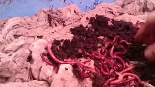 Марлевый субстрат.Преимущества.
