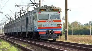 Danger on the Rails: When Horses Meet Trains