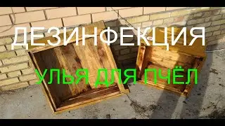 Как ЧИСТИТЬ УЛЕЙ После ЗИМОВКИ