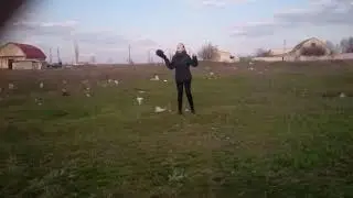 Пчела ты где ??? Смешно до ужаса смотреть