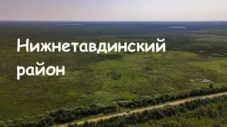река Тавда.  Часть 1. Болота, Нижняя Тавда. Вид с дрона.