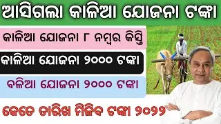 Kalia Yojana new update //Kalia yojana 7th installment//pm Kisan latest updates