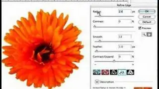 ZIO Pro: Adobe Photoshop CS3 training