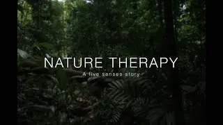 NATURE THERAPY - A five senses story