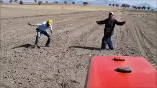 MAZOTA ZAM GELİNCE ÇİFTÇİLERİMİZ