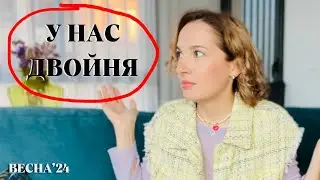 Забрали с улицы брошенных котят