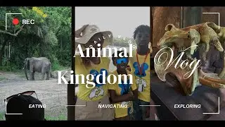 Disneys Animal Kingdom Orlando - VLOG