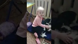 защищает щенка