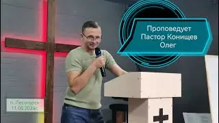 Он спланировал. 11 08 2024