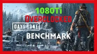 Days Gone Benchmark | 1440p MAX Settings + 4K High | 1080Ti OC | Ryzen 7 3800X