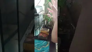 Вы сегодня...😳😳😳