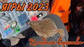 🎣Ягры|Корюшка|Камбала