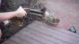 M79 firing a squirrel