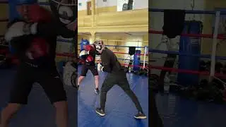 Light Sparring