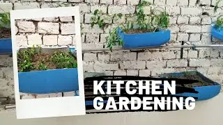 Kitchen Gardening At Home | Hobby | Green Pakistan