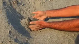 What I found in Beach Sand 😱😱😱