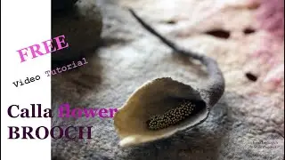 DIY Free video tutorial Grey Calla Video
