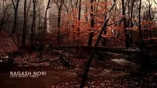 Ragash Nori @ late night vibes (afro deep tech house)