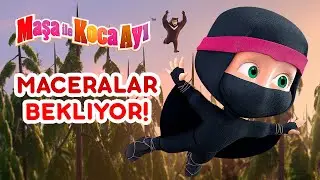 Maşa İle Koca Ayı - 🌏 Maceralar bekliyor! 🧭 Bölüm koleksiyonu
