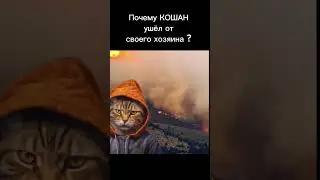 Почему КОШАН ушёл от своего хозяина?