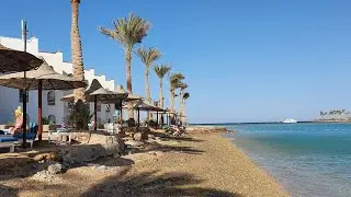 Египет. Хургада. Отель Arabia Azur Resort 4