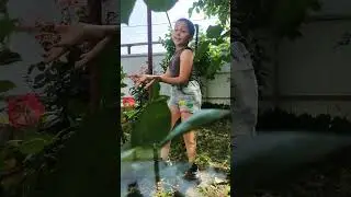 Лианчик в тренде 🥰🌿
