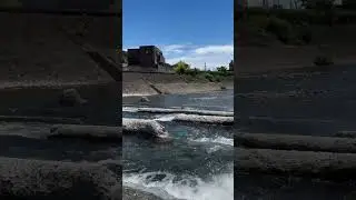 #quran