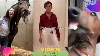OS MELHORES MEMES E VIDEOS ENGRAÇADOS DA INTERNET #32 - TENTE NÃO RIR